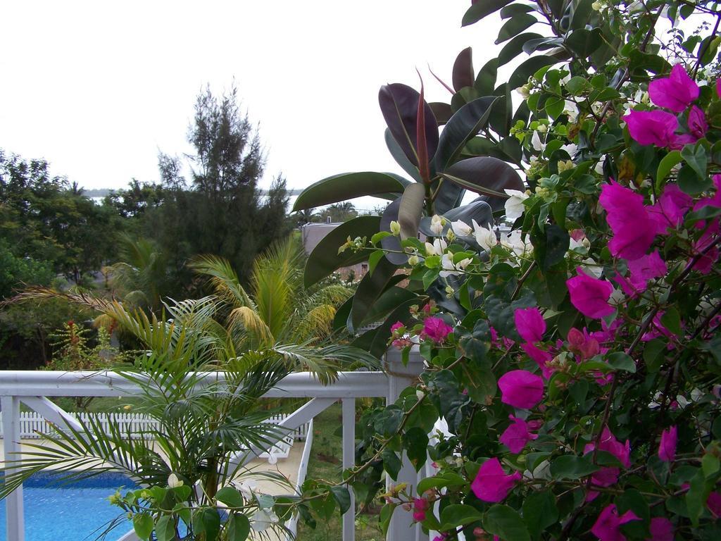 לה גולט Bed And Breakfast Maison Papaye מראה חיצוני תמונה
