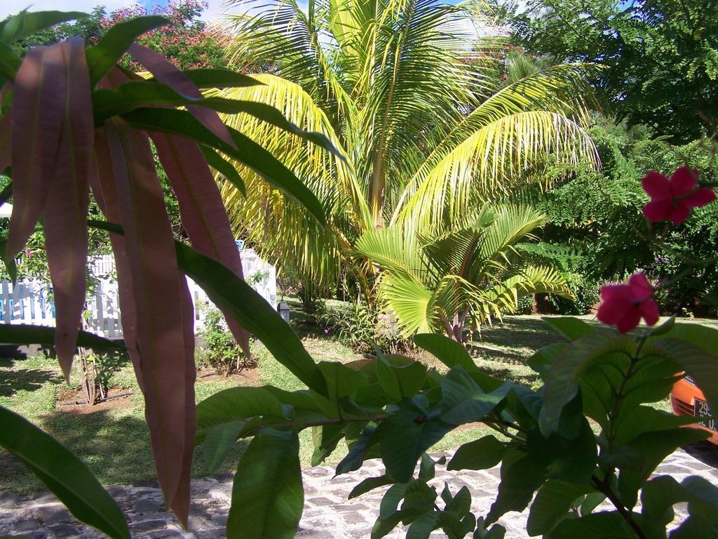 לה גולט Bed And Breakfast Maison Papaye מראה חיצוני תמונה